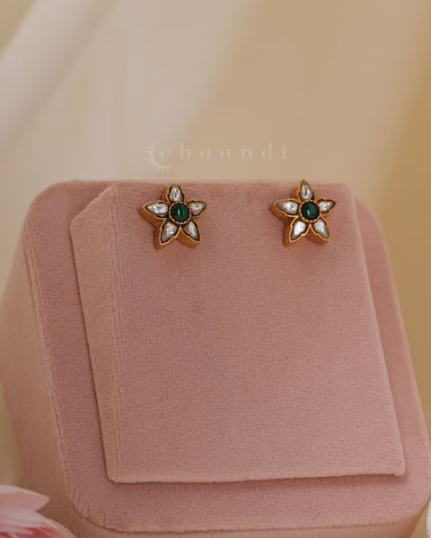 Gold Polish Silver Earrings