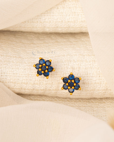 Gold Polish Silver Earrings