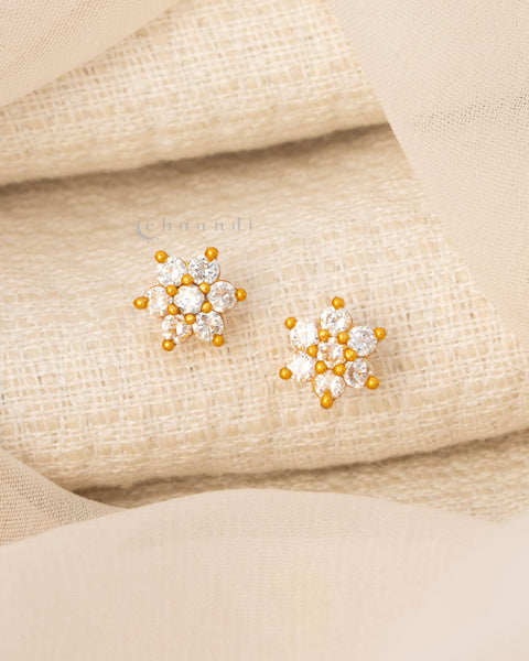 Gold Polish Silver Earrings
