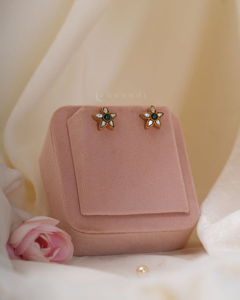 Gold Polish Silver Earrings