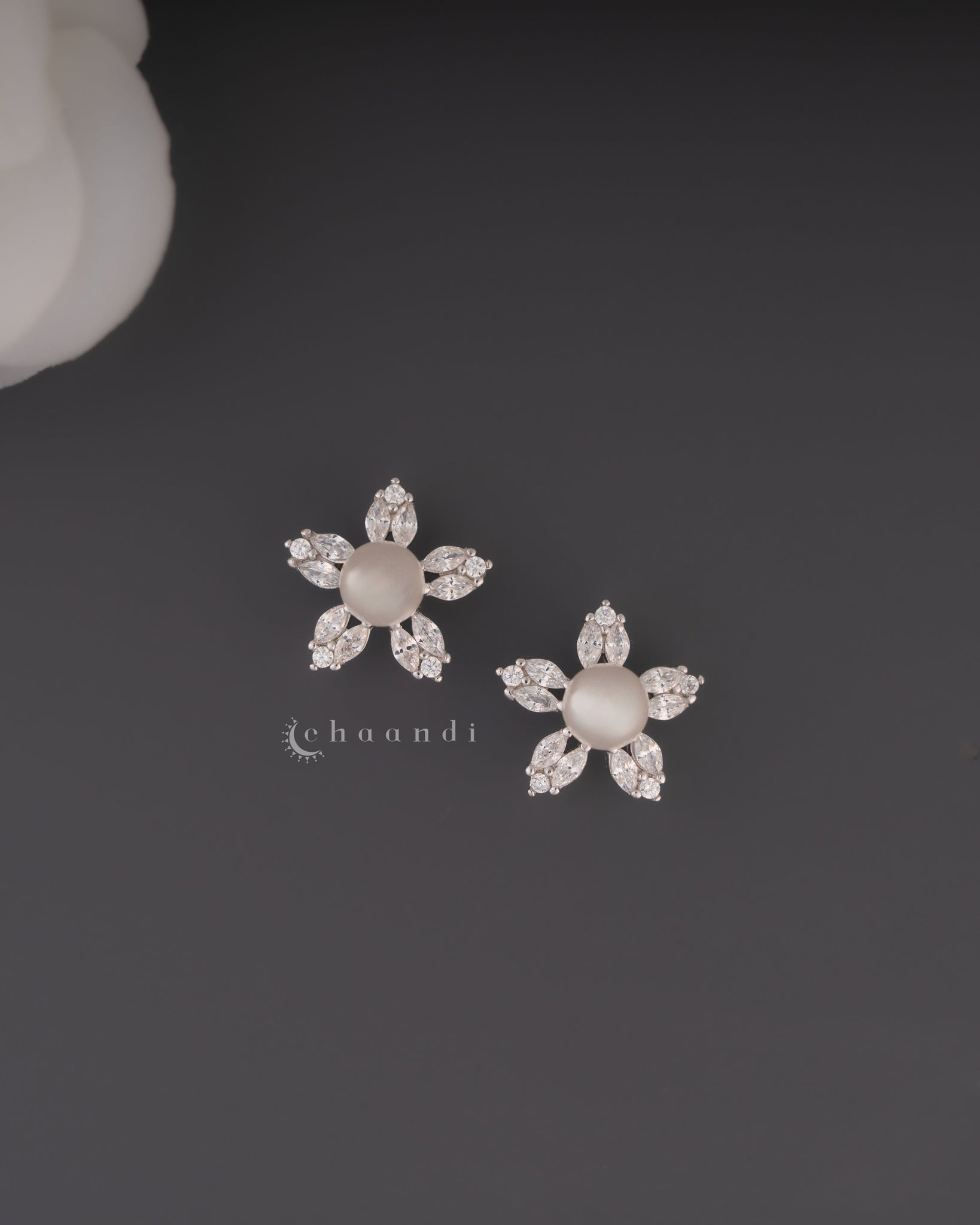 Silver Earrings SER1005