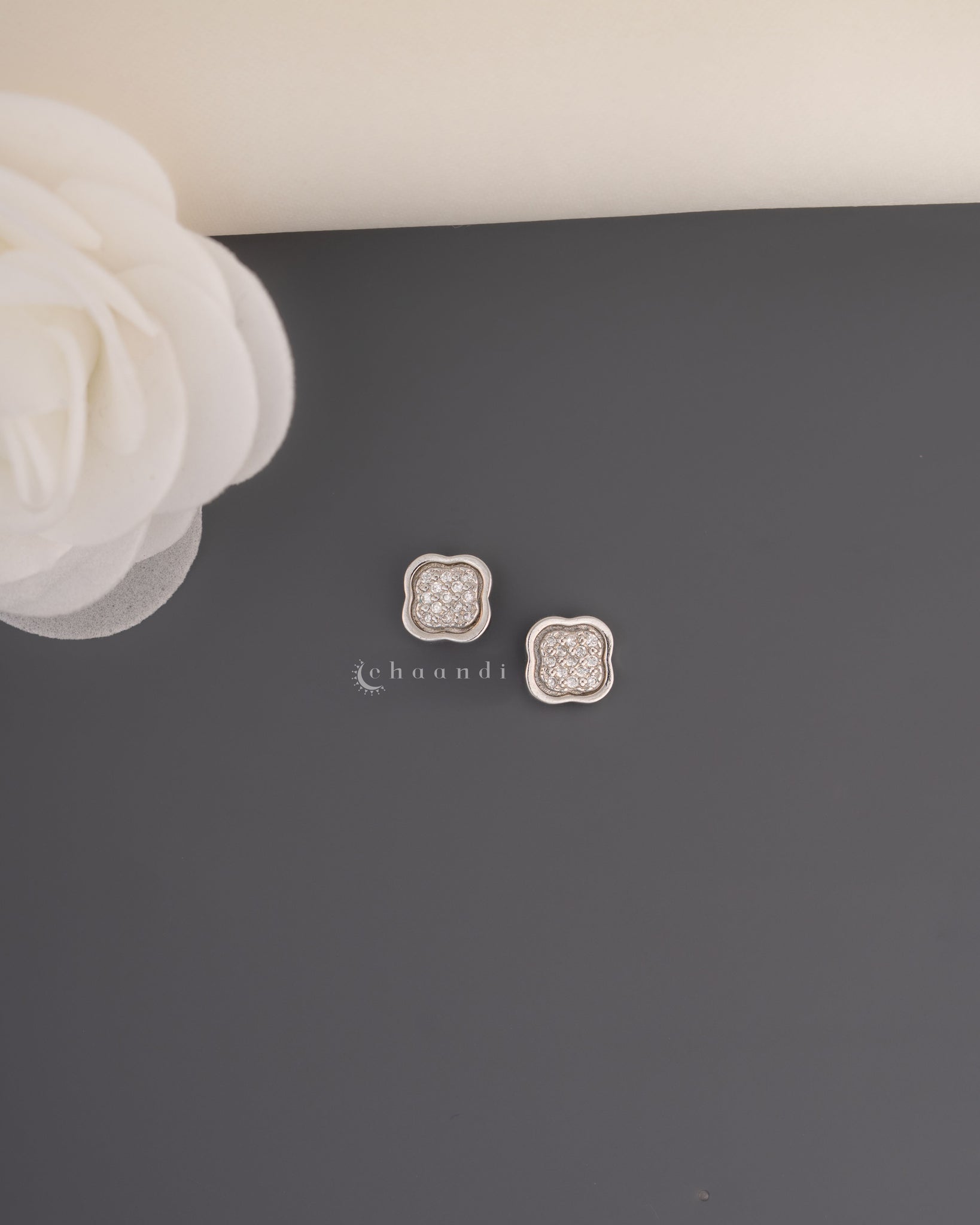 Silver Earrings SER1006